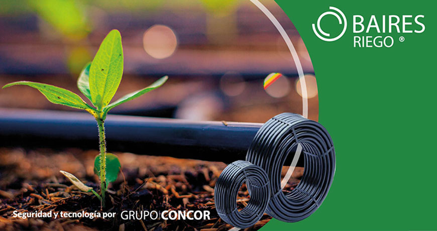 Grupo concor