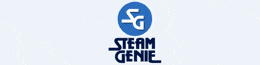 STEAMGENIE SRL